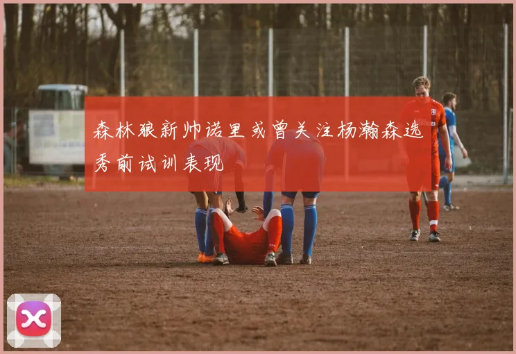 森林狼新帅诺里或曾关注杨瀚森选秀前试训表现