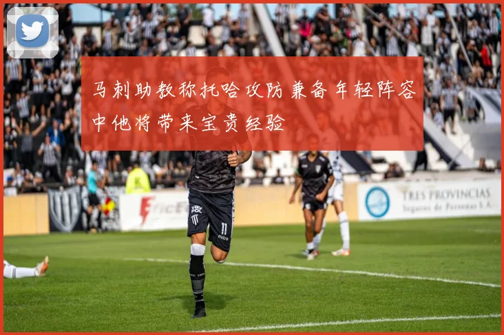 马刺助教称托哈攻防兼备年轻阵容中他将带来宝贵经验